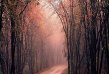 杏彩体育官网：[乒乓球]深圳大学取得乒超首胜.