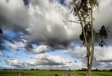 [篮球]首届雄安国际女篮邀请赛圆满收官.