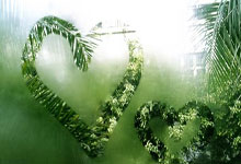 杏彩体育官网:约基奇61+11+10无缘今日最佳球员!库里狂轰52+10+8+5创18项纪录.